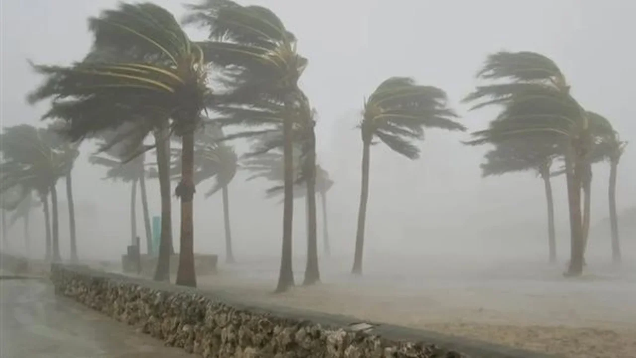 ارتفاع تدريجي في درجات الحرارة وتحذيرات من الشبورة في مصر غدا